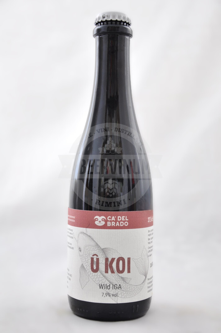 birra_c__del_brado_u_koi_37.5cl